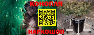 шишки Пенза