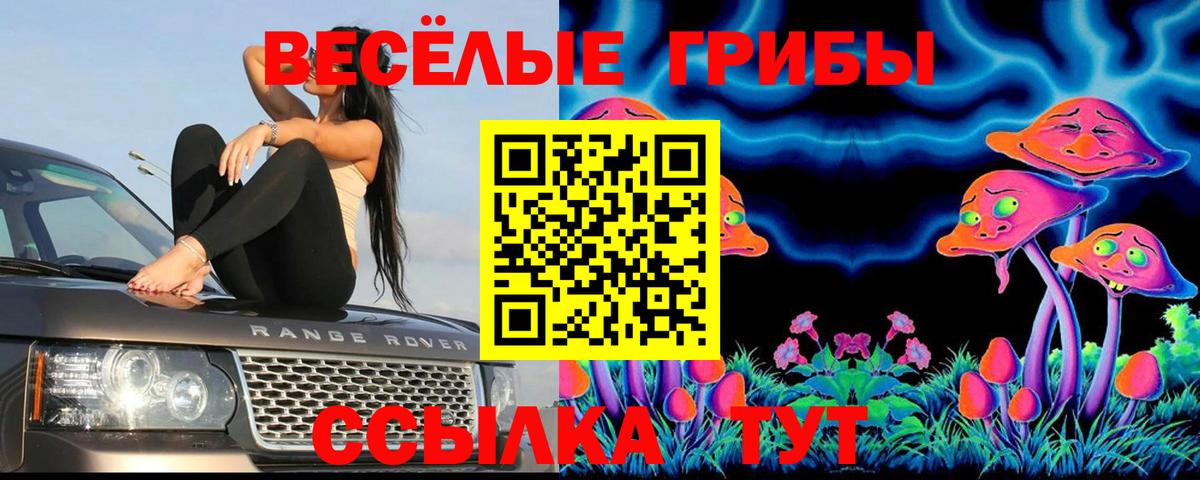 Галлюциногенные грибы мицелий Тосно