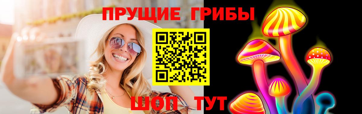 Псилоцибиновые грибы Psilocybe  Галлюциногенные грибы ЛСД  Вход с VPN  Тосно 